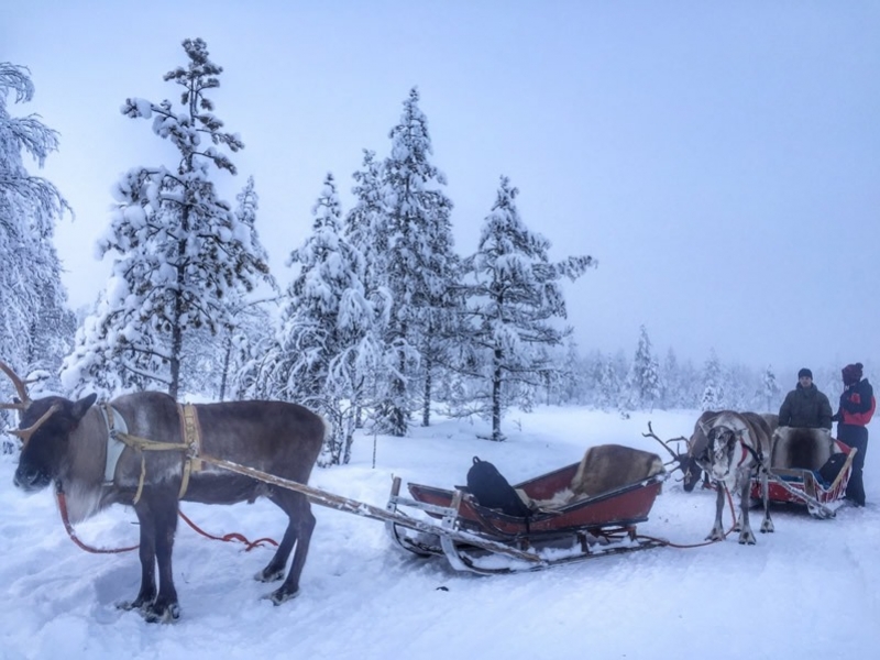 Yılbaşı Lapland Turu