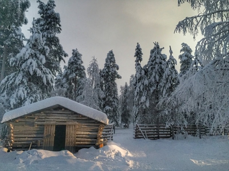 Yılbaşı Lapland Turu