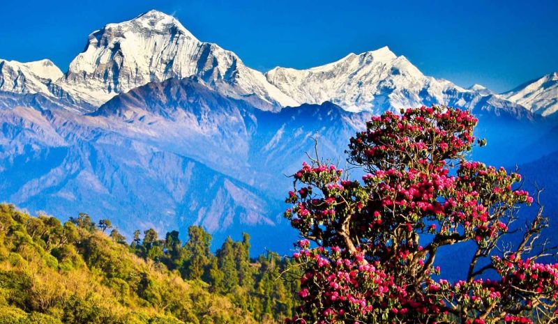 Süper Promo Nepal Turu Himalayalar’da Yoga Rotası