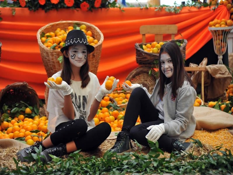 Seferihisar Mandalina Festivali 