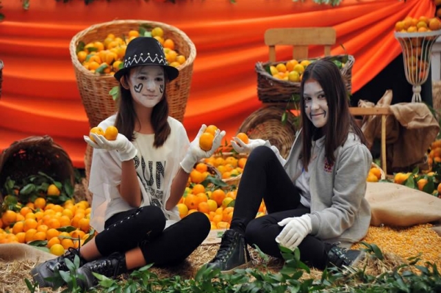 Seferihisar Mandalina Festivali 