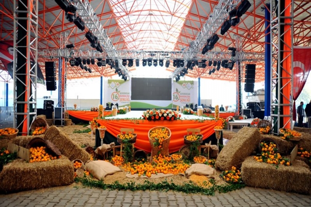 Seferihisar Mandalina Festivali 