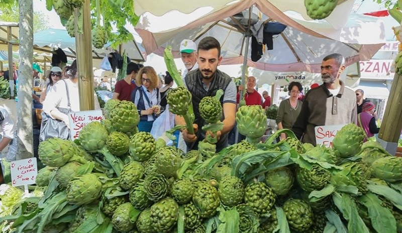 Urla Enginar Festivali Turu