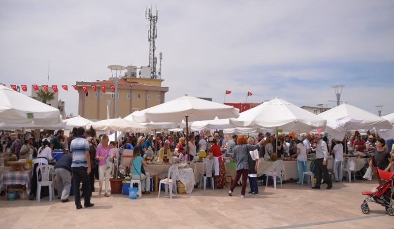 Urla Enginar Festivali Turu