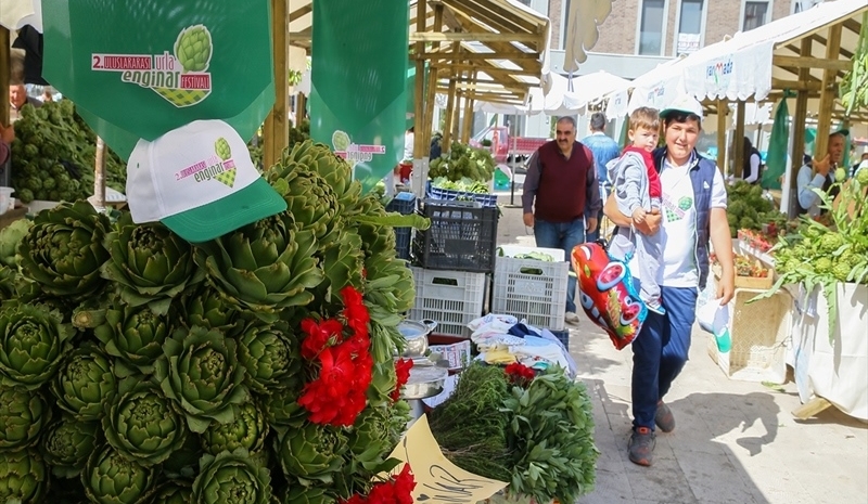 Urla Enginar Festivali Turu