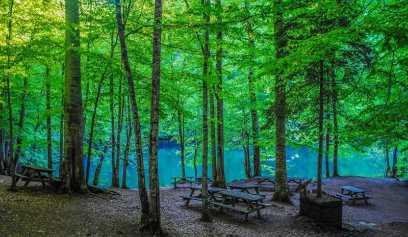 Bolu Büyük Abant Oteli & Yedigöller Turu