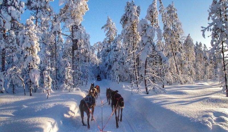 Lapland Turu