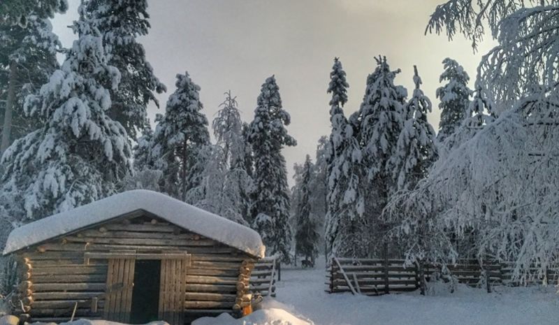 Lapland Turu