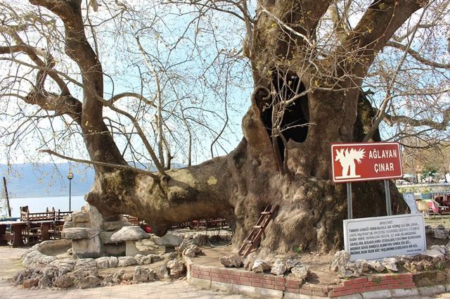 Her Perşembe Bursa Turu 