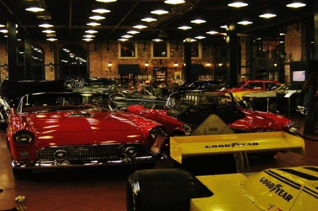 İstanbul Akvaryum Turu