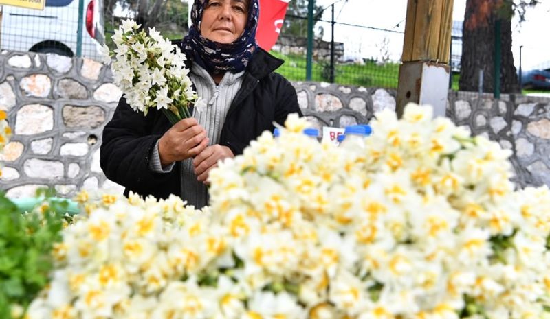 Karaburun – Mordoğan - Sığacık Turu