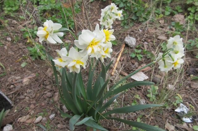 Karaburun – Mordoğan - Sığacık Turu