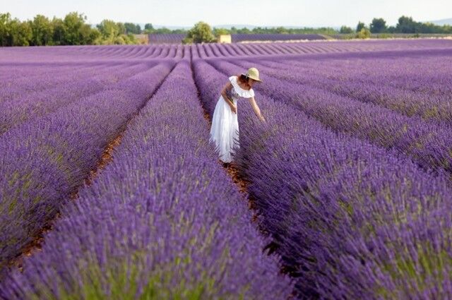 Lavanta Bahçeleri & Salda Gölü Turu