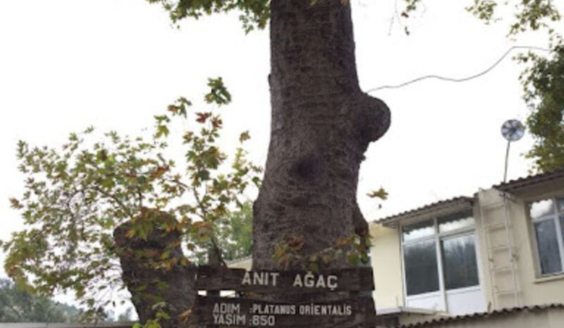Kazdağı Şelale Turu