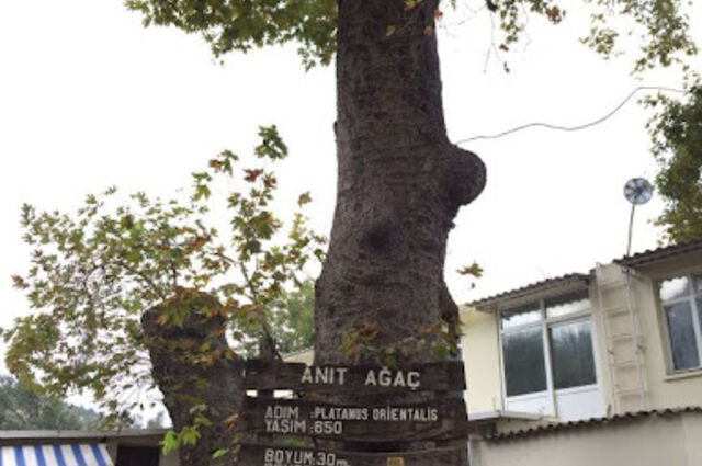 Kazdağı Şelale Turu