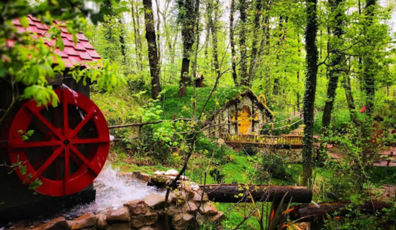 Her Çarşamba Ormanya, Ayrı Gezegen Cam Teras, Maşukiye Turu