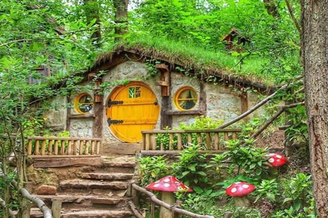 Her Çarşamba Ormanya, Ayrı Gezegen Cam Teras, Maşukiye Turu