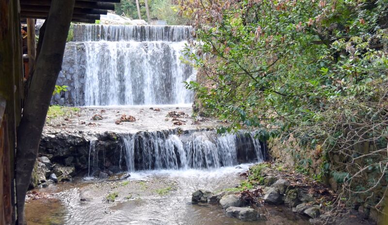 Her Çarşamba Ormanya, Ayrı Gezegen Cam Teras, Maşukiye Turu