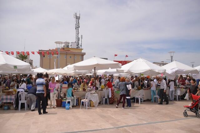 Urla Enginar Festivali Turu ( hafta içi)