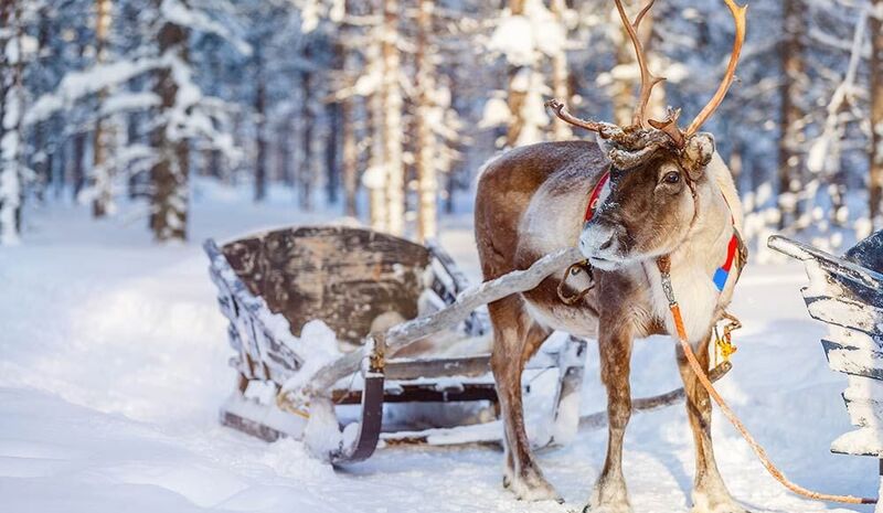 Lapland Beyaz Rotalar Çifte Yılbaşı Rotası
