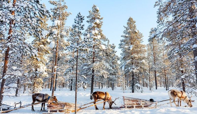 Lapland Beyaz Rotalar Çifte Yılbaşı Rotası