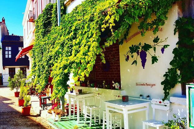 Bozcaada Bağ Bozumu Festivali