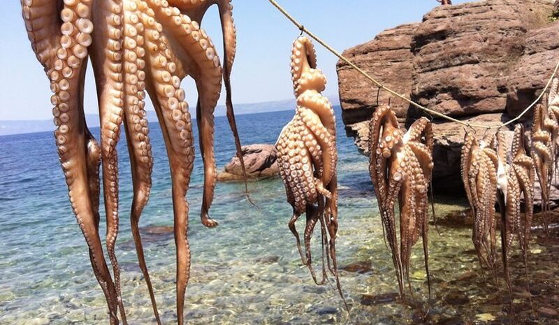 Yılbaşı Midilli Turu 2 Gece  4*Blue Sea Hotel