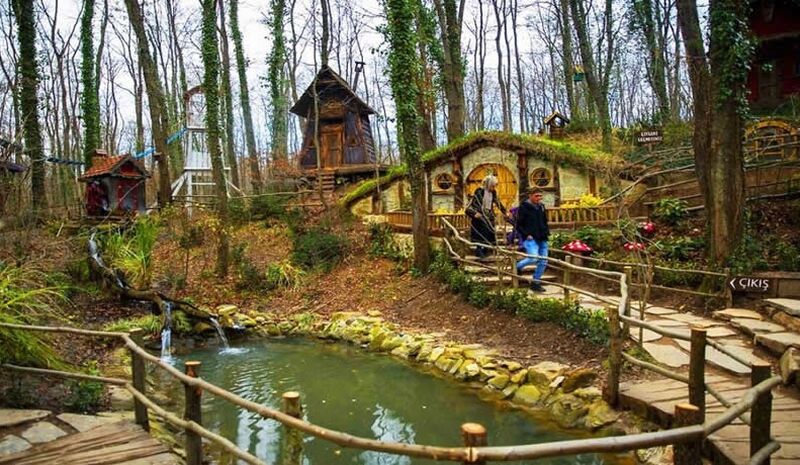 Bolu Abant Yedigöller & Ormanya Turu