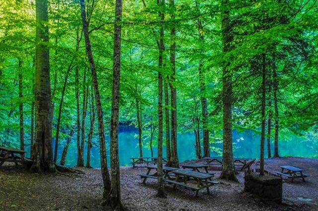 Bolu Abant Yedigöller & Ormanya Turu