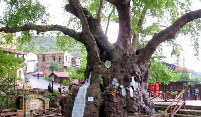 Gurme Antakya Turu