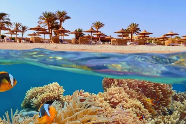 Sharm El Sheikh Kahire İskenderiye Turu Ajet ile 6 Gece 7 Gün Sharm Gider-Kahire Döner (Sabah Gider-Akşam Döner)