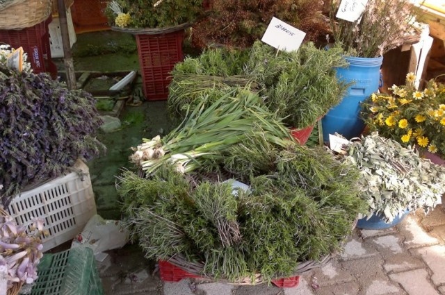 Promosyon Alaçatı Ot Festivali Turu