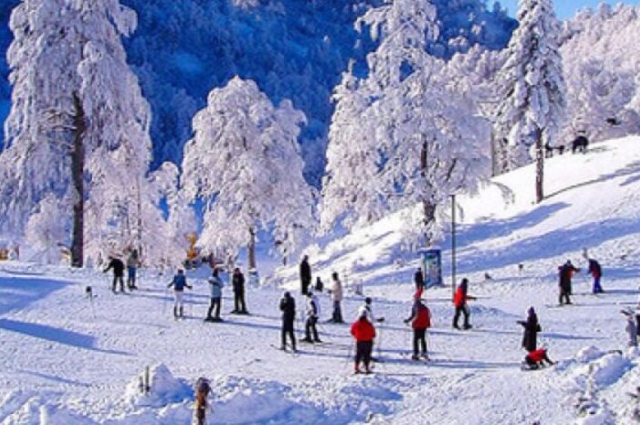 Kartepe Kayak Merkezi - Maşukiye - Ormanya Turu