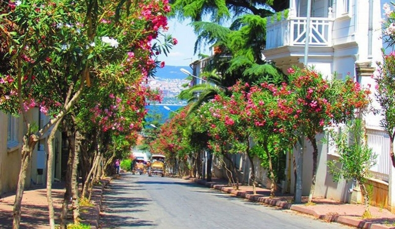 Heybeliada & Büyükada Turu