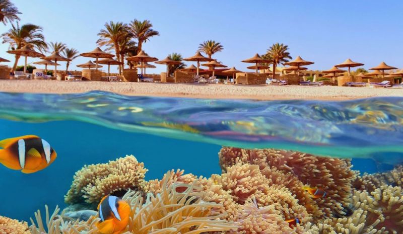 Sharm El Sheikh Kahire İskenderiye Turu Ajet ile 6 Gece 7 Gün Sharm Gider-Kahire Döner (Sabah Gider-Akşam Döner)